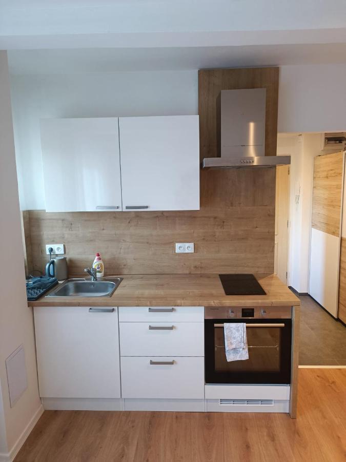 Zoo Karlovarska Apartment Plzeň Kültér fotó