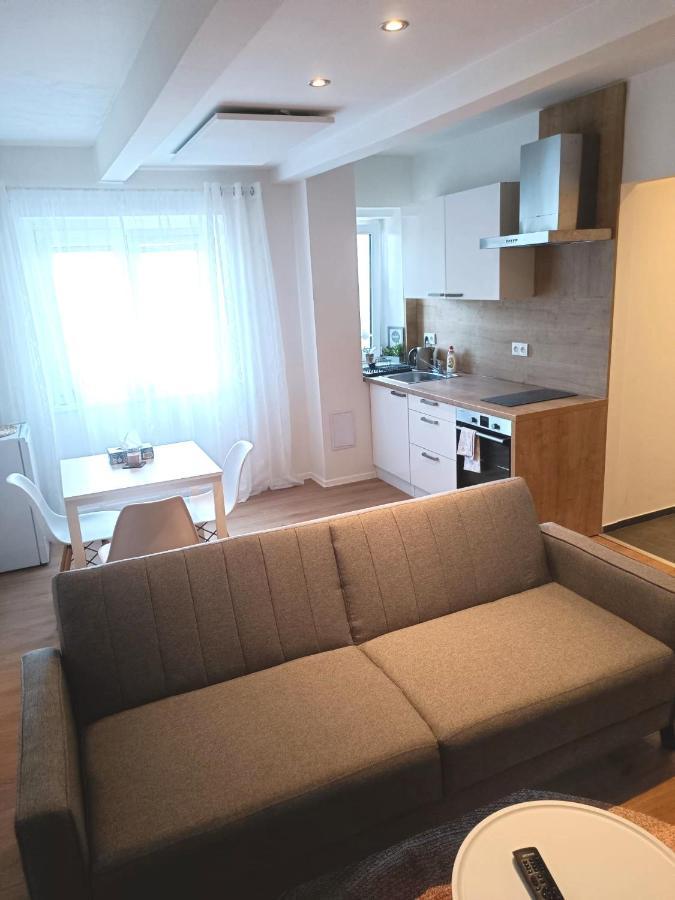 Zoo Karlovarska Apartment Plzeň Kültér fotó