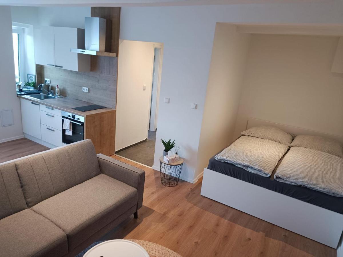 Zoo Karlovarska Apartment Plzeň Kültér fotó